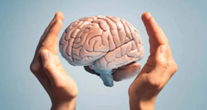 Los cambios en el centro de la memoria del cerebro ante el dolor prolongado influyen en la depresión: estudio