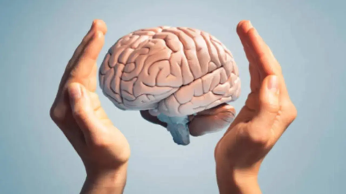 Los cambios en el centro de la memoria del cerebro ante el dolor prolongado influyen en la depresión: estudio