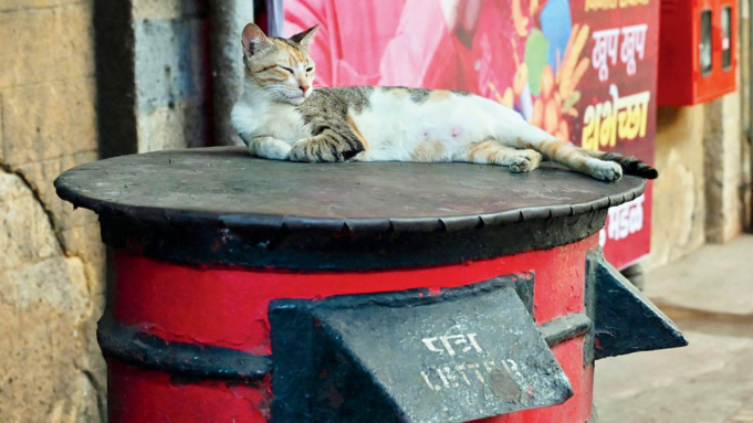 Diario de Mumbai: Dossier del viernes