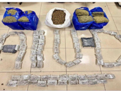 La aduana incauta hierba hidropónica por valor de 64,39 millones de rupias en el aeropuerto de Mumbai; cuatro retenidos