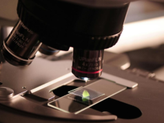 Por qué los expertos científicos indios creen que STEM será crucial para el futuro