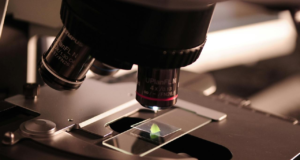 Por qué los expertos científicos indios creen que STEM será crucial para el futuro