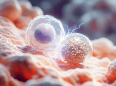 Un implante podría reforzar la terapia con células cancerosas