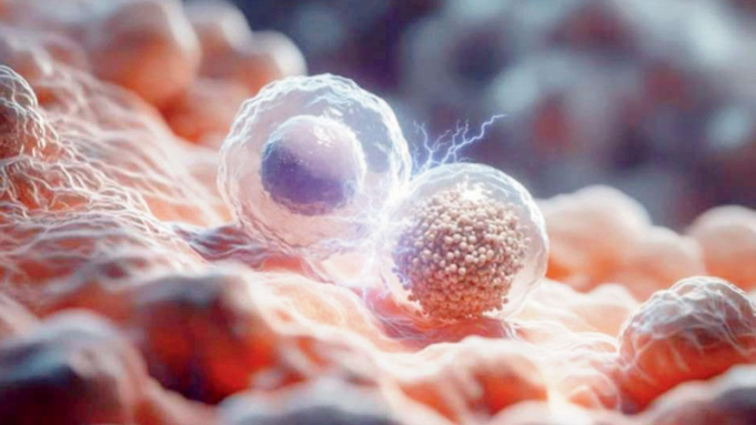 Un implante podría reforzar la terapia con células cancerosas