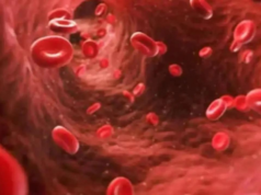 Los cambios estructurales en las proteínas del plasma sanguíneo pueden reflejar signos tempranos de Alzheimer