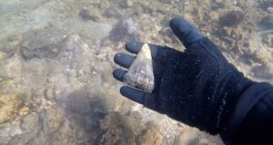 Museo exhibe fósiles descubiertos en nuestros pies.