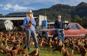El documental The Valley captura la vida de Kangaroo Valley entre las primeras 13 películas que se anunciarán