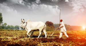 El gobierno de Maharashtra introduce un sistema fuera de línea para el registro de cultivos electrónicos