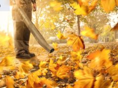 Las motos de agua de los suburbios son más populares que nunca. No puedo creer que se permita que existan sopladores de hojas