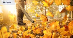 Las motos de agua de los suburbios son más populares que nunca. No puedo creer que se permita que existan sopladores de hojas