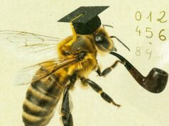 Los científicos descubren que las abejas tienen “cognición numérica”