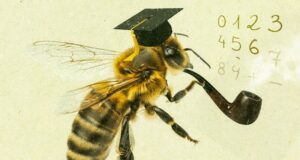 Los científicos descubren que las abejas tienen “cognición numérica”