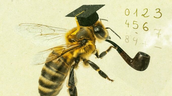 Los científicos descubren que las abejas tienen “cognición numérica”