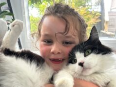 Por qué Donald Trump y todos los que odian a los gatos necesitan muñecos de trapo Sparkles en sus vidas