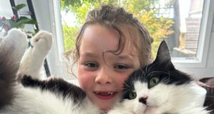 Por qué Donald Trump y todos los que odian a los gatos necesitan muñecos de trapo Sparkles en sus vidas