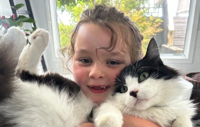Por qué Donald Trump y todos los que odian a los gatos necesitan muñecos de trapo Sparkles en sus vidas
