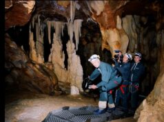 El Museo Natural de Werner Herzog en 3D