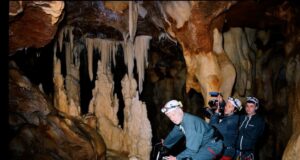 El Museo Natural de Werner Herzog en 3D