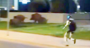 Un robot humanoide persigue jabalíes en Varsovia