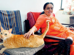 Proyecto de ley de enmienda trans: cómo los aliados están ayudando a la comunidad en medio del dolor