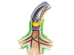 Pistas de distribución de películas independientes: el camino de un productor