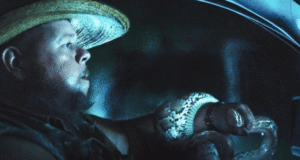 Tráiler ‘The Python Hunt’: Documental sobre la caza de serpientes