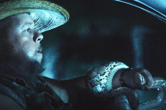 Tráiler ‘The Python Hunt’: Documental sobre la caza de serpientes