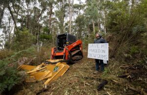 El bosque de goma de nieve será demolido para tener vistas antes del Día de Anzac