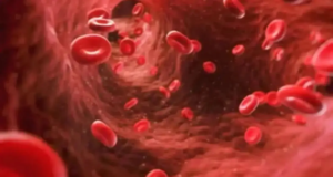 Día Mundial de la Hemofilia: Por qué todavía se diagnostica erróneamente a las mujeres con hemofilia