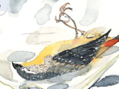 Un pajarito me habló mucho de mi padre. Esperemos que mamá nunca lo sepa.