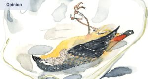 Un pajarito me habló mucho de mi padre. Esperemos que mamá nunca lo sepa.