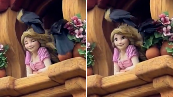 El animatrónico de Rapunzel en Disneyland fue atacado por pájaros