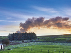 ¡Eso está encendido!