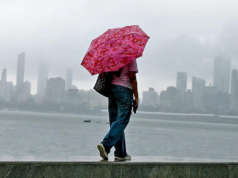 Lluvia, probabilidad de relámpagos en el estado; IMD pone el cinturón occidental en alerta amarilla hasta el 25 de abril