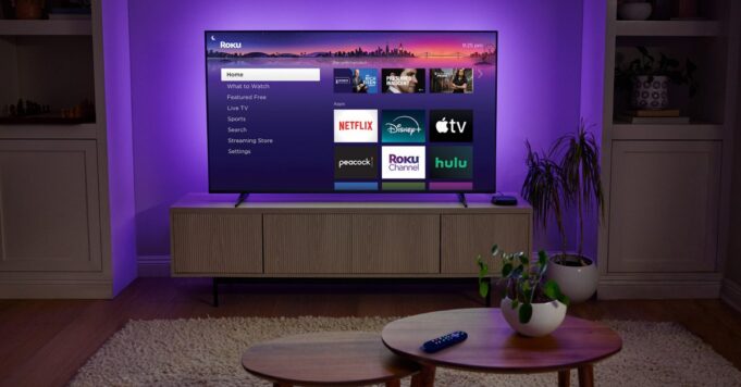 Roku está en “más de la mitad” de los hogares de EE. UU. y supera el hito de los 100 millones