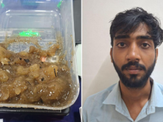 Joven de 24 años detenido en Mumbai con cachalote ámbar gris ilegal