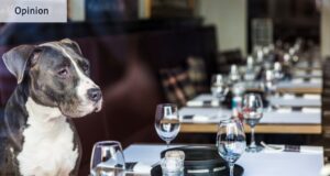 Cuando se trata de cenar, este nuevo restaurante para perros tiene la idea correcta