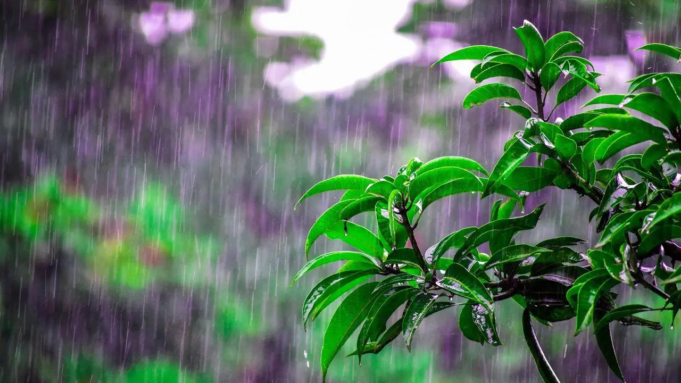 Kerala dará la bienvenida al monzón el 26 de mayo; Rajasthan y UP se preparan para un calor abrasador