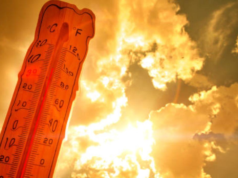 Telangana se prepara para una ola de calor severa mientras el IMD emite una alerta de siete días