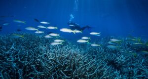 El debate sobre la cuota de 190 toneladas y el futuro de la Gran Barrera de Coral