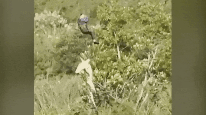Un cocodrilo monstruoso es transportado en avión mientras la policía resuelve el misterio del hombre desaparecido