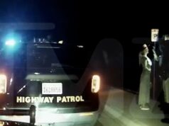 Britney Spears invita a los oficiales a tomar lasaña durante una parada de DUI