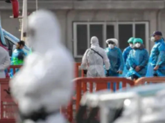 Pasajero español da positivo por Hantavirus; La OMS emite un aviso