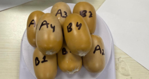 DRI incauta 3 kg de oro por valor de 4,8 millones de rupias escondidos dentro de cápsulas en el aeropuerto de Mumbai