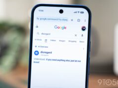 Las descripciones generales de IA de Google rompen el diccionario para ciertas palabras