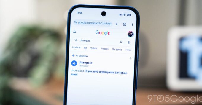 Las descripciones generales de IA de Google rompen el diccionario para ciertas palabras