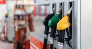 La crisis del combustible genera alarma en el sector del transporte de la India mientras las operaciones de camiones enfrentan interrupciones