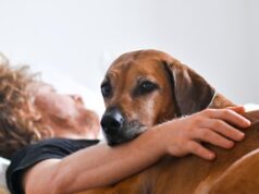 ¿Qué tan malo es exactamente dormir con tu mascota? Los expertos opinan