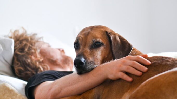 ¿Qué tan malo es exactamente dormir con tu mascota? Los expertos opinan
