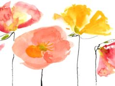 Por qué la carrera para cultivar las mejores amapolas islandesas es una lección de ego y obsesión